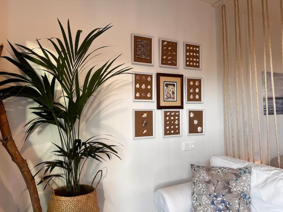 Ocean Dream Apartments - Lovely Sea View Studio Apartment 5Min From Beach San Marcos  Екстер'єр фото